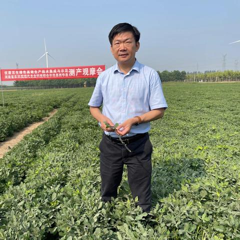 河南哪个地方种植花生
