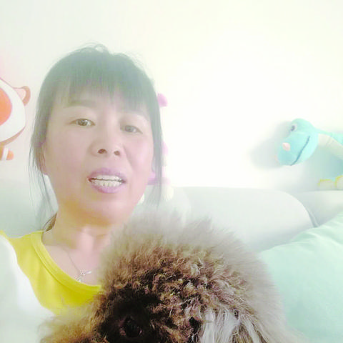 无锡市宠物直播中心的长尾关键词有什么