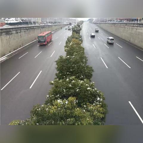 【合肥7月1日天气预报】2025年7月1日合肥天气情况