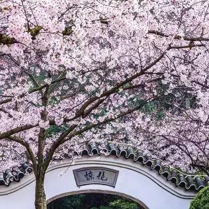 无锡市旅游住在哪里好