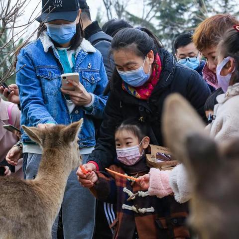 济南野生动物世界怎么样相关长尾关键词有哪些