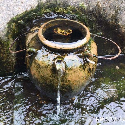 深圳龙华十大景点排名？