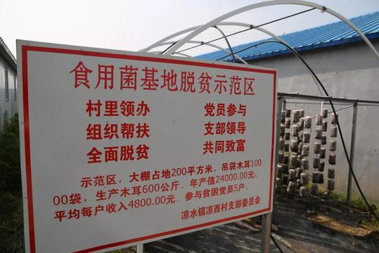 “光伏”打开特色产业的开关照亮了柳河的脱贫路