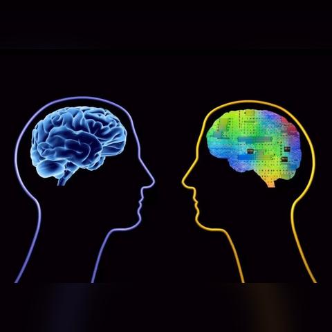 数学天才人工智能学什么
