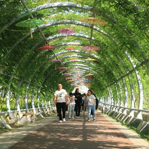 宁波植物园门票多少钱一张的长尾关键词有什么