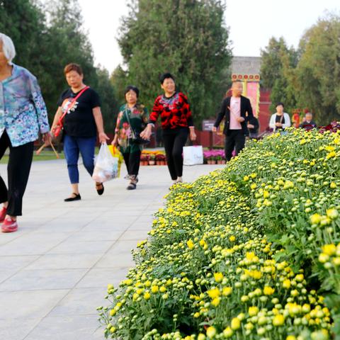 周口市太昊路东段6号的长尾关键词有什么