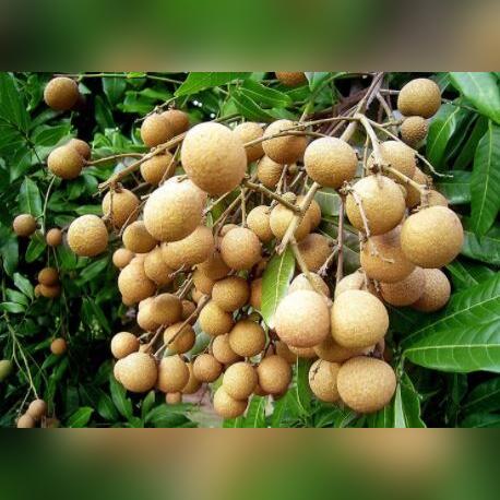 福建市县志的相关长尾关键词有哪些