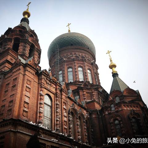 哈尔滨宏伟相关长尾关键词有哪些