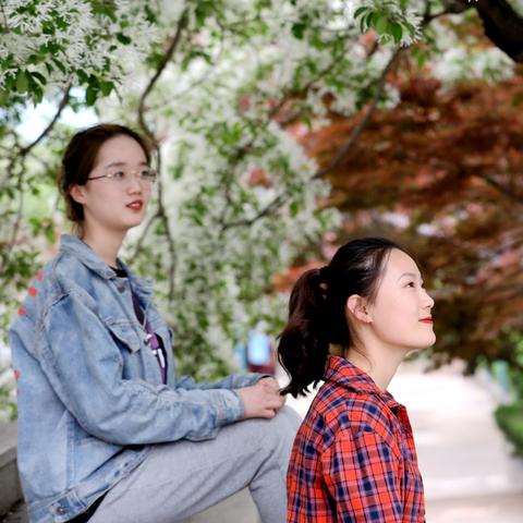 临沂市流苏小院的长尾关键词有哪些