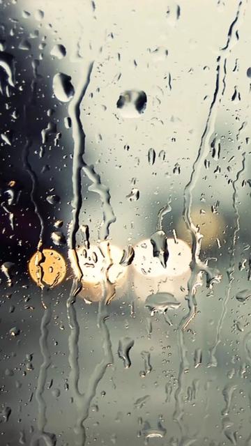 今年冬天天天下雨是什么原因