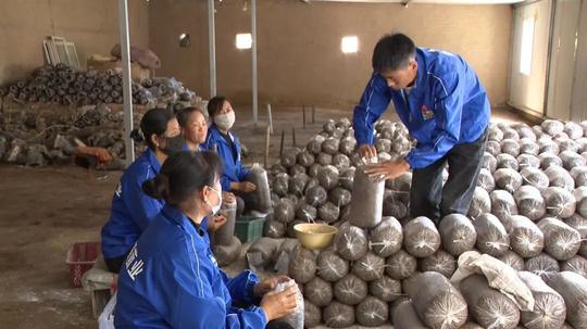 舟曲：发展食用菌产业助力乡村振兴