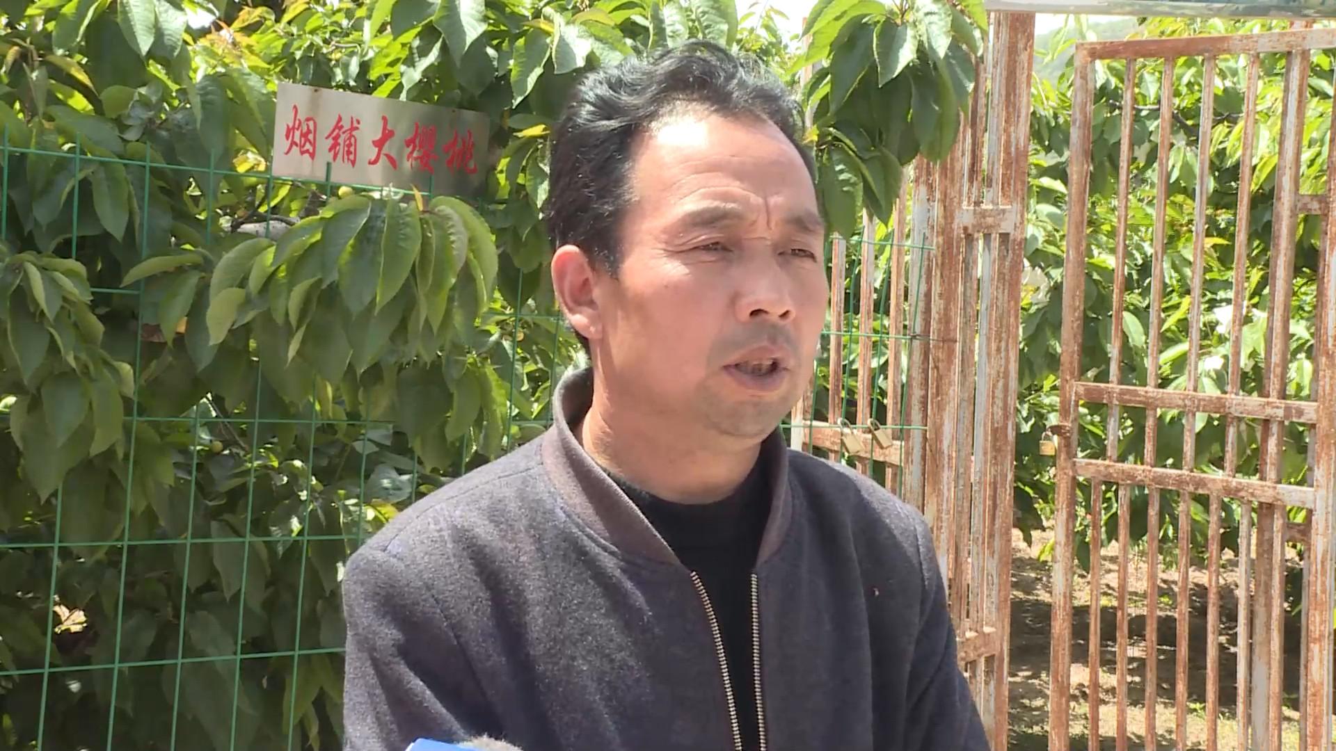 快手视频点赞
 /快手视频点赞量多少才有收益