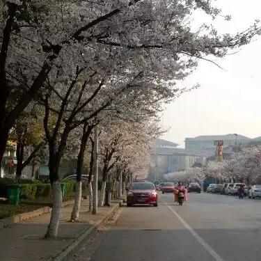 无锡市拍照胜地在哪里啊