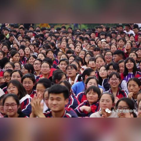 河南天一升学率怎么样