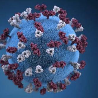 哈尔滨哪里查新冠肺炎相关长尾关键词有哪些