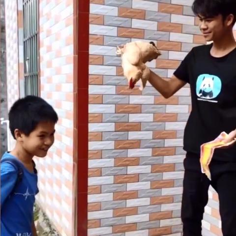 生肖鸡运势财运方向图解(生肖鸡运势财运方向图解视频)