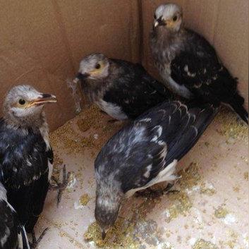 安庆到临沂市的长尾关键词有什么