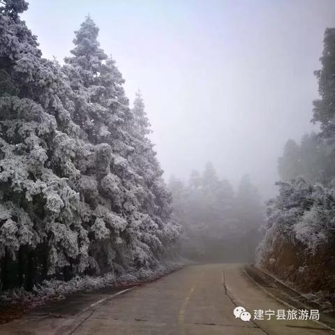 福建周边哪个省份下雪