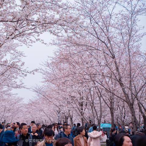 无锡市金匮桥公园在哪里