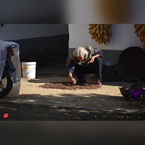 河南西部哪个省