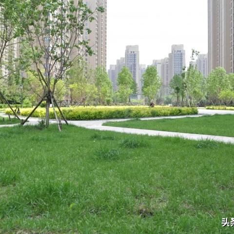 哈尔滨地坪厂家相关长尾关键词有哪些