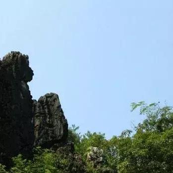 桂林市的动物园在哪里啊
