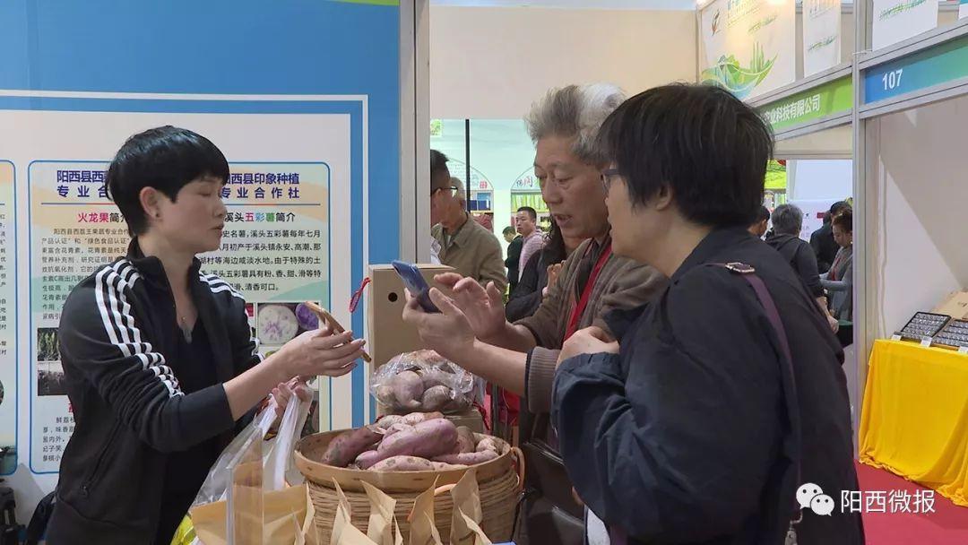 阳西有特色什么美食（这个季节去哪自驾游最好）