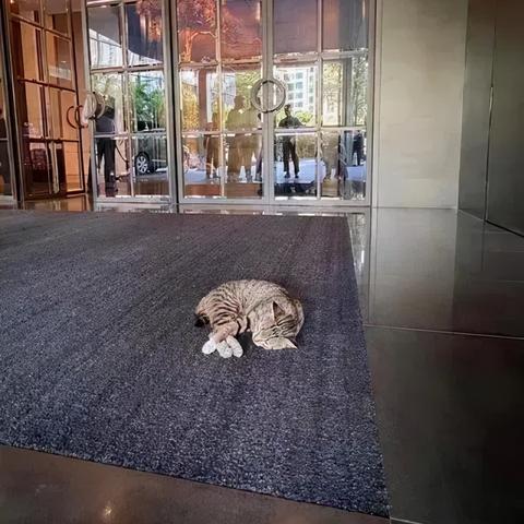 广州市的冬天盖什么被子