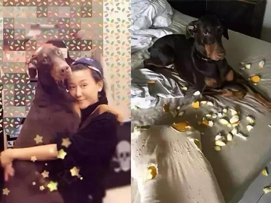 53岁的娱乐圈“大姐大”，有八个干儿子，奢侈品毫不心疼给狗用