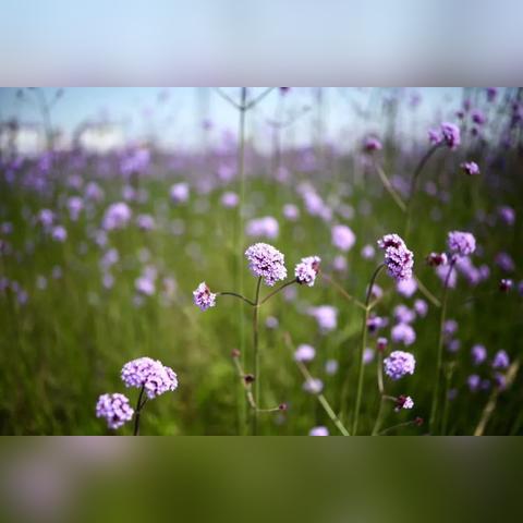 宁波鄞州区闲置群的相关长尾关键词有哪些