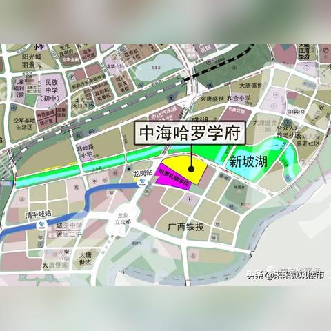 南宁市哈罗礼德学校招生条件？