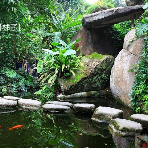 厦门植物园几点进去的相关长尾关键词有哪些