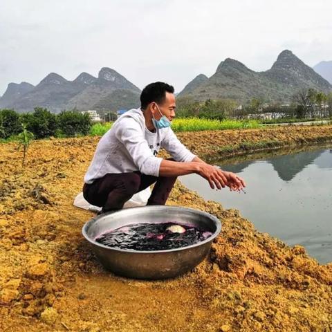桂林附近哪里有鱼苗场地的相关长尾关键词有哪些
