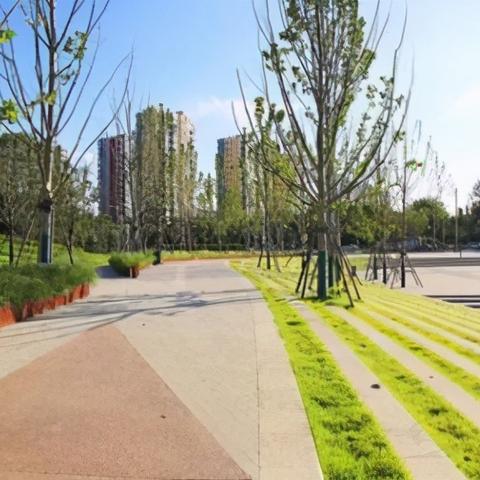 哈尔滨市政府招标公告相关长尾关键词有哪些