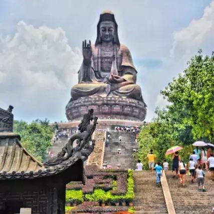 2025.11.20佛山今日气温变化情况