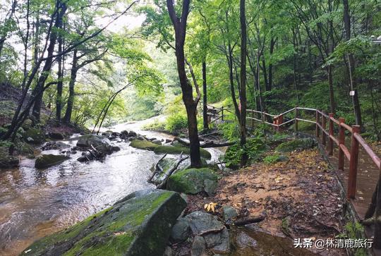 河南冷门山水景区：空气好到没得挑，瀑布溪流常相伴