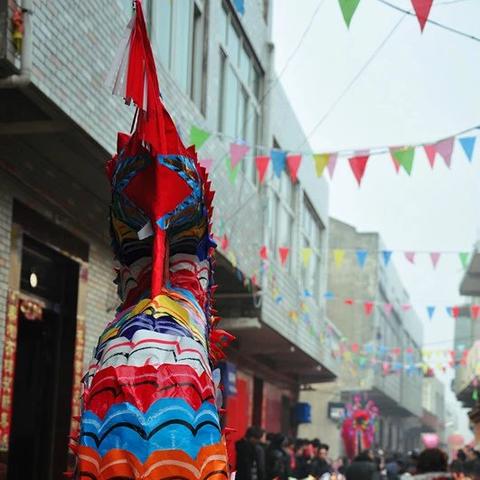 生肖龙遇猪年运势(生肖龙遇猪年运势好吗)