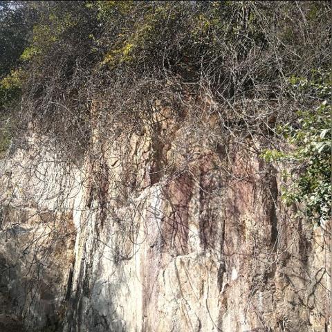 温州市哪个风景区好玩的