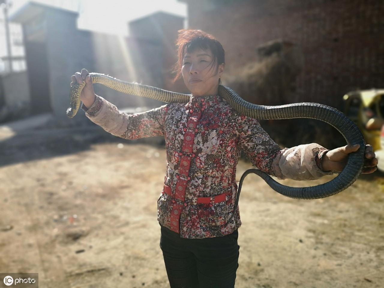 起名蛇宝宝,蛇的别称及美名