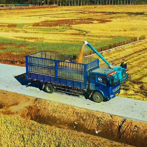 沈阳水果玉米相关长尾关键词有哪些