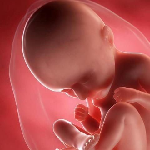 逃跑计划3电影免费观看的长尾关键词有哪些