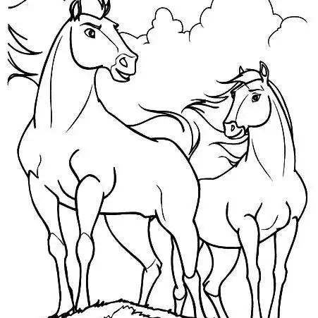 生肖马11月运势早报(生肖运势每日更新查询)