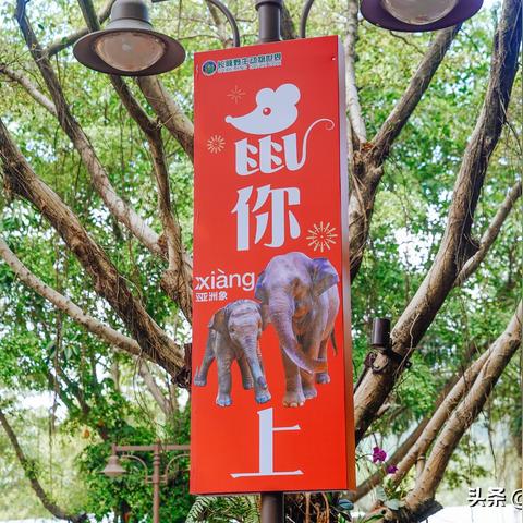 广州南站可以不取票吗相关长尾关键词有哪些