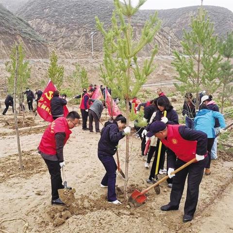 兰州垃圾填埋场运行的相关长尾关键词有哪些