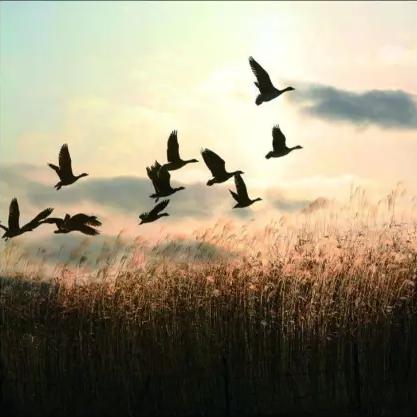 【天津市祖越】相关长尾关键词有哪些