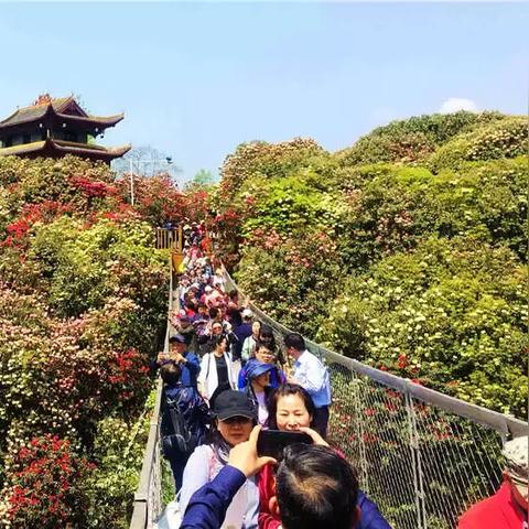 百里风区天气的长尾关键词有什么