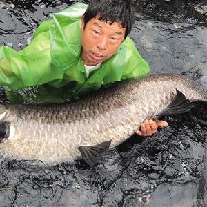 温州市青鱼钓场在哪里