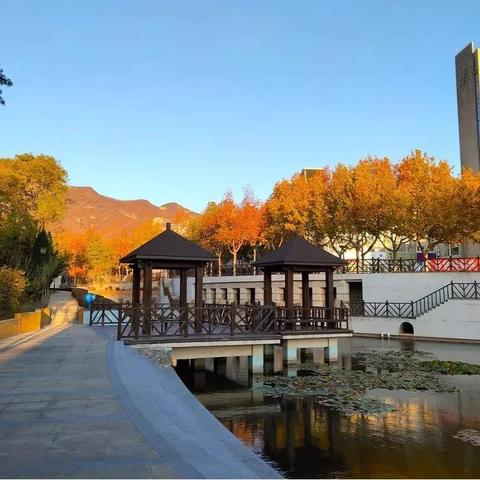 大连市大学都在哪个区