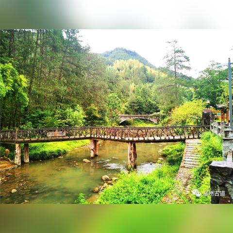 浙江温州市同乐机械有限公司的长尾关键词有哪些