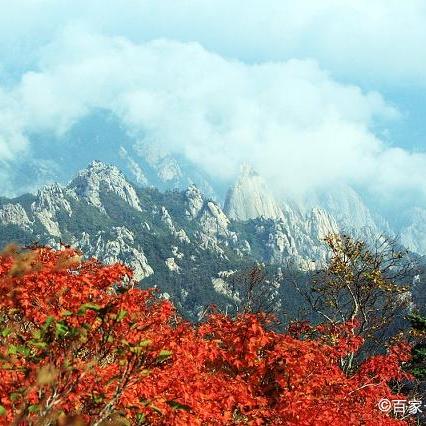 无锡市枫林酒店地址在哪里